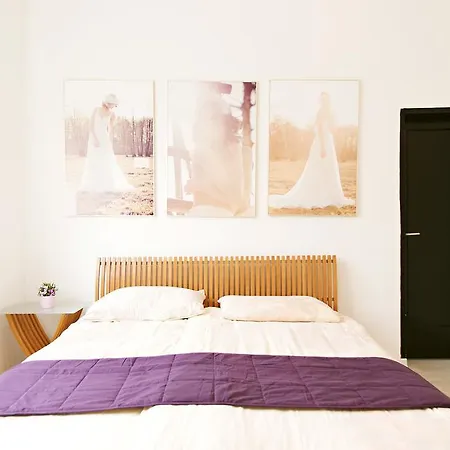 Apartman Gallery 66